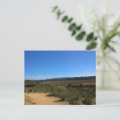 Carte Postale Back Bay, Newport Beach, Californie (Debout devant)