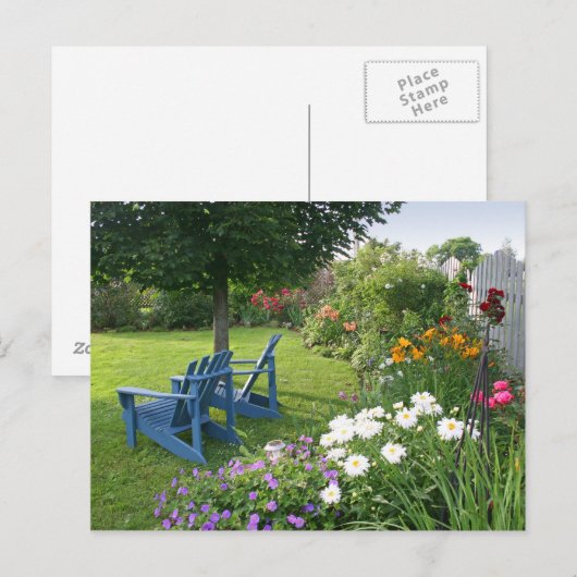 Carte Postale Back Yard (Devant / Derrière)