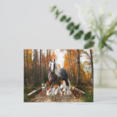 Carte postale "Backroads Ramble" (Debout devant)