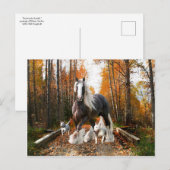 Carte postale "Backroads Ramble" (Devant / Derrière)