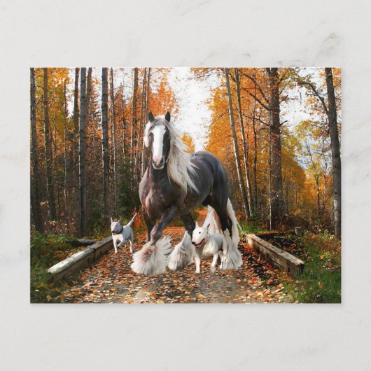 Carte postale "Backroads Ramble" (Devant)