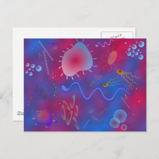 Carte Postale Bactérie (Devant / Derrière)