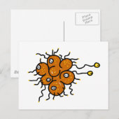 Carte Postale Bactérie (Devant / Derrière)