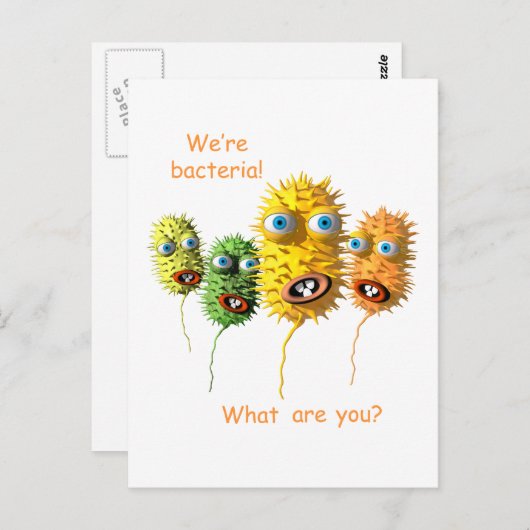 Carte Postale Bactéries amusantes (Devant / Derrière)