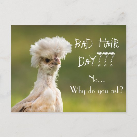 Carte Postale Bad Hair Day poulet (Devant)