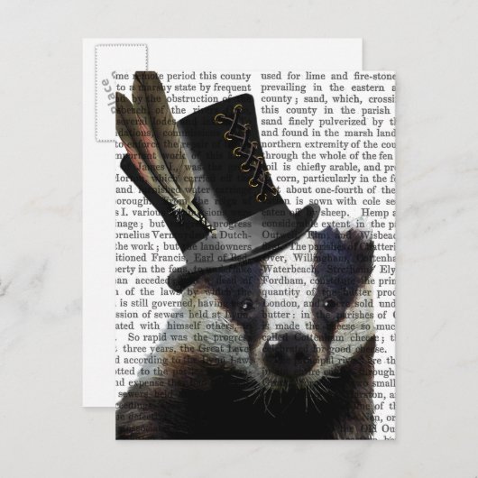 Carte Postale Badger de Steampunk dans le chapeau supérieur (Devant / Derrière)