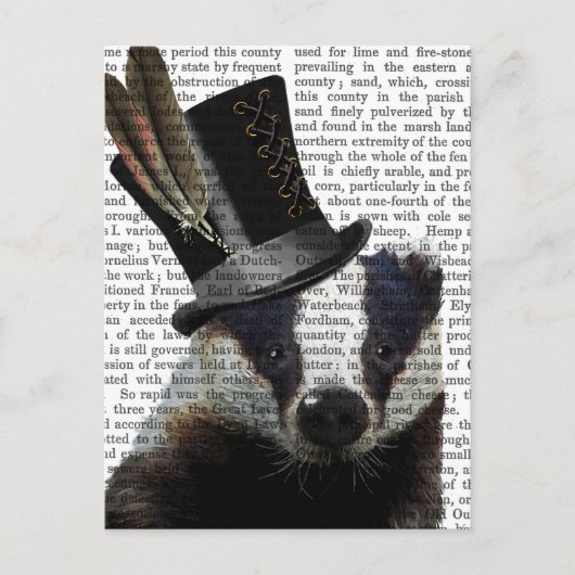 Carte Postale Badger de Steampunk dans le chapeau supérieur (Devant)