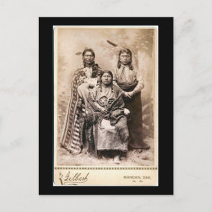 Carte Postale Badger Jaune, Le Plus Jeune, Os À Haut Joue1880