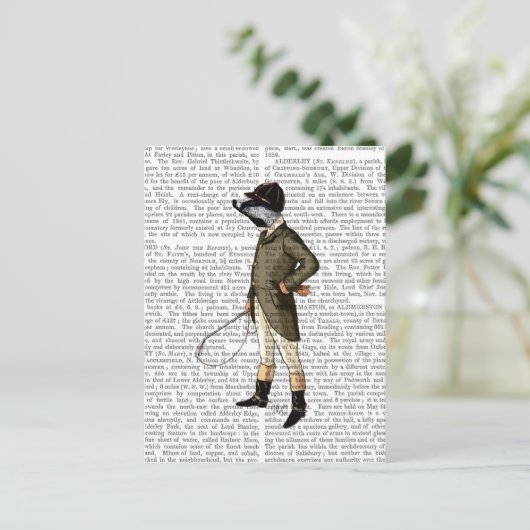 Carte Postale Badger Le Rider Complet (Debout devant)