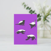 Carte Postale Badgers de miel (Debout devant)