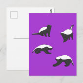 Carte Postale Badgers de miel (Devant / Derrière)