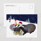 Carte postale Badgers Festive (Devant / Derrière)