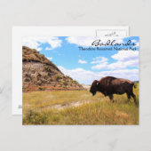 Carte postale Badlands of North Dakota (Devant / Derrière)