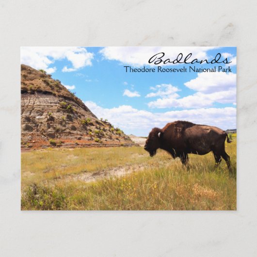 Carte postale Badlands of North Dakota (Devant)