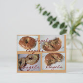 Carte Postale Bagels YUM (Debout devant)