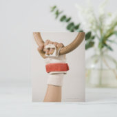 Carte Postale Bague à main de gymnastique (Debout devant)
