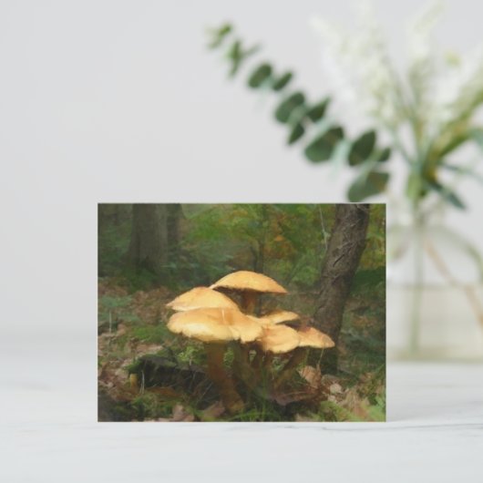 Carte Postale Bague de champignons poilus (Debout devant)