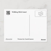 Carte Postale Baguette commune (Diapheromera femorata) (Dos)