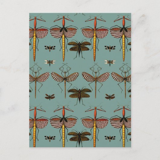 Carte Postale Baguettes, Katydids et libellules (Devant)