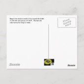 Carte postale Bagworm (Dos)