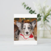 Carte Postale Bah Humbug ! ! ! (Debout devant)