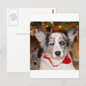 Carte Postale Bah Humbug ! ! ! (Devant / Derrière)