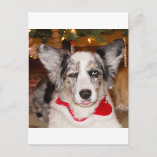 Carte Postale Bah Humbug ! ! ! (Devant)