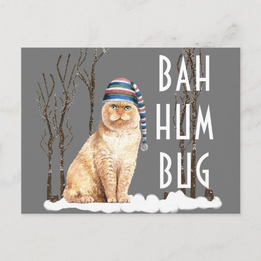 Carte Postale Bah Humbug Funny Chat Noël (Devant)