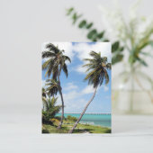 Carte Postale Bahai Honda State Park, Florida Keys (Debout devant)