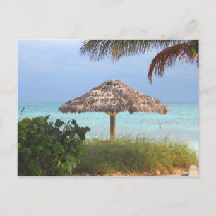 Carte Postale Bahama Beach Paradise