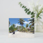 Carte Postale Bahamas (Debout devant)