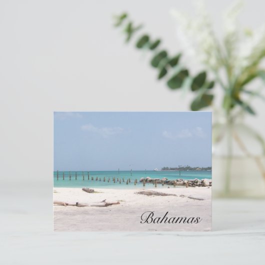 Carte postale Bahamas (Debout devant)