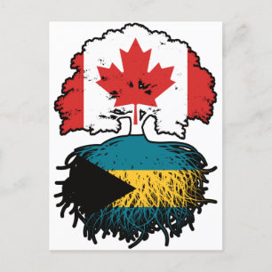Carte Postale Bahamas Drapeau des racines d'arbre du Canada baha
