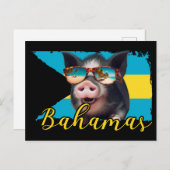 Carte Postale Bahamas Pignoires - Exuma Pig Beach Adventure (Devant / Derrière)