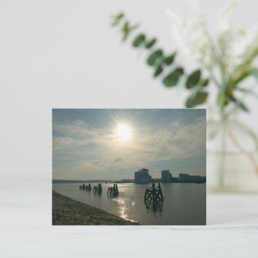 Carte Postale Baie Cardiff (Debout devant)