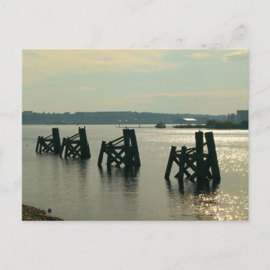 Carte Postale Baie Cardiff (Devant)