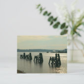 Carte Postale Baie Cardiff (Debout devant)