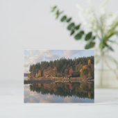 Carte Postale Baie de Fletcher (Debout devant)