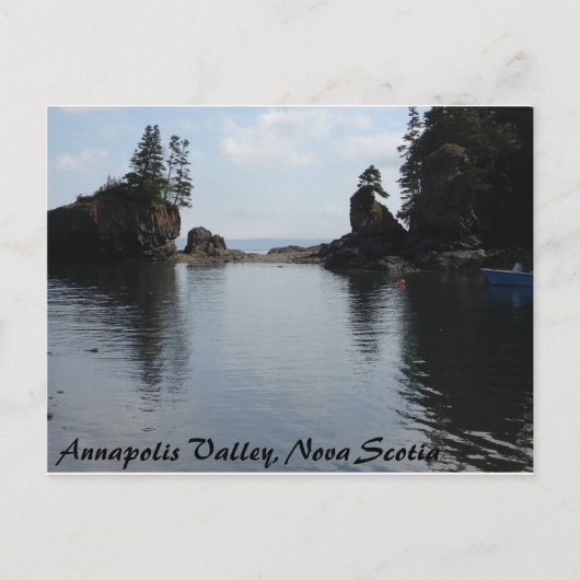 Carte Postale Baie De Fundy (Devant)