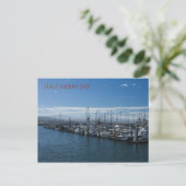 Carte Postale Baie de Half Moon (Debout devant)
