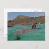 Carte Postale Baie de Hanauma Hawaii Tortue (Devant / Derrière)