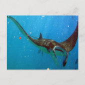 Carte Postale Baie de Hanauma Oahu Manta Ray (Devant)