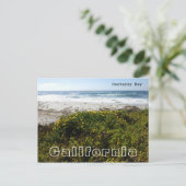 Carte Postale Baie de Monterey (Debout devant)