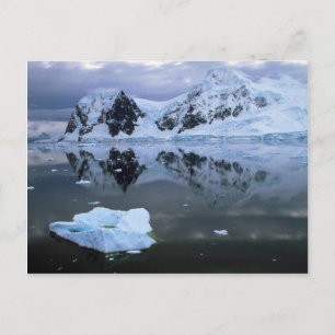 Carte Postale Baie de Paradise, Antarctique