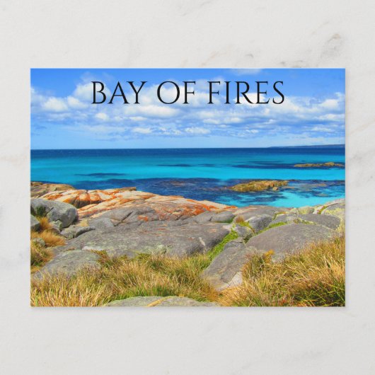 Carte Postale baie de tir de tasmanien (Devant)