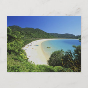 Carte Postale Baie de Tonga, Parc national Abel Tasman, île du S