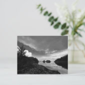 Carte Postale Baie des Îles (Debout devant)