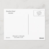 Carte Postale Baie des yeux de chat (Dos)