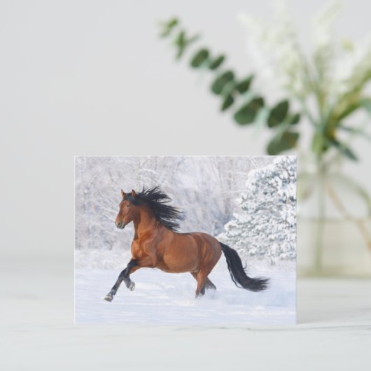 Carte Postale Baie d'hiver (Debout devant)