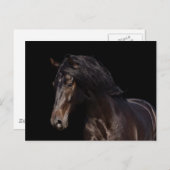 Carte Postale Baie foncée (Devant / Derrière)